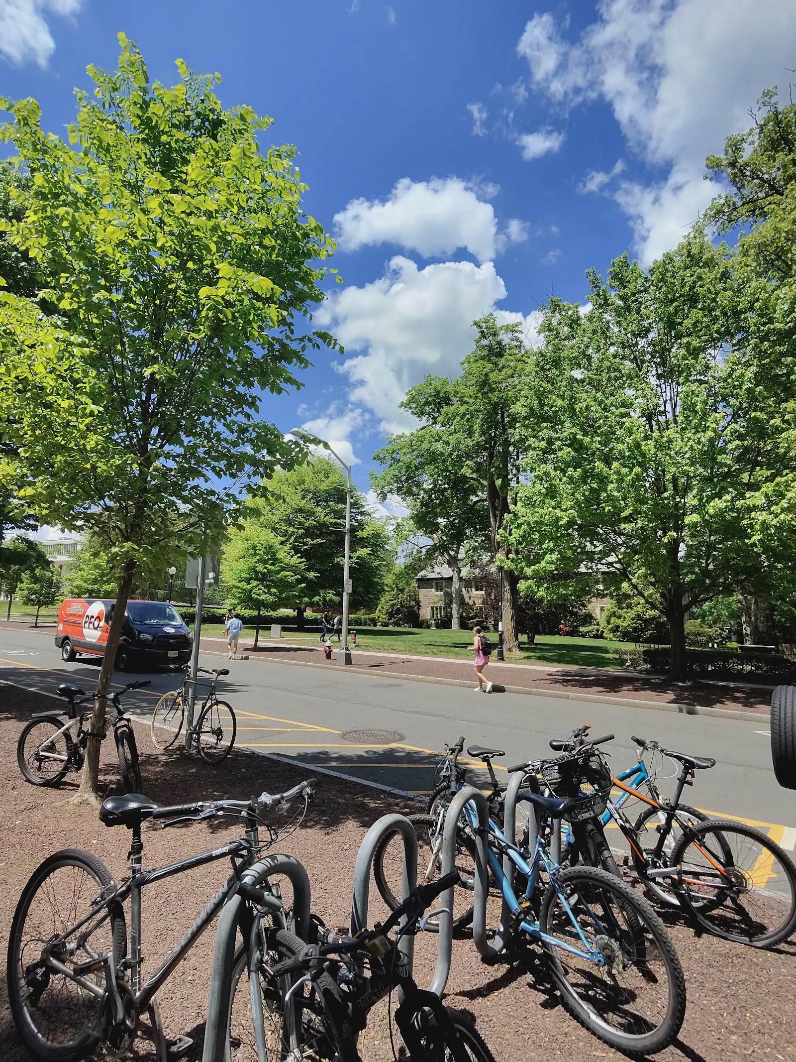 Bike racks and a leafy campus street under a bright blue sky with scattered clouds.