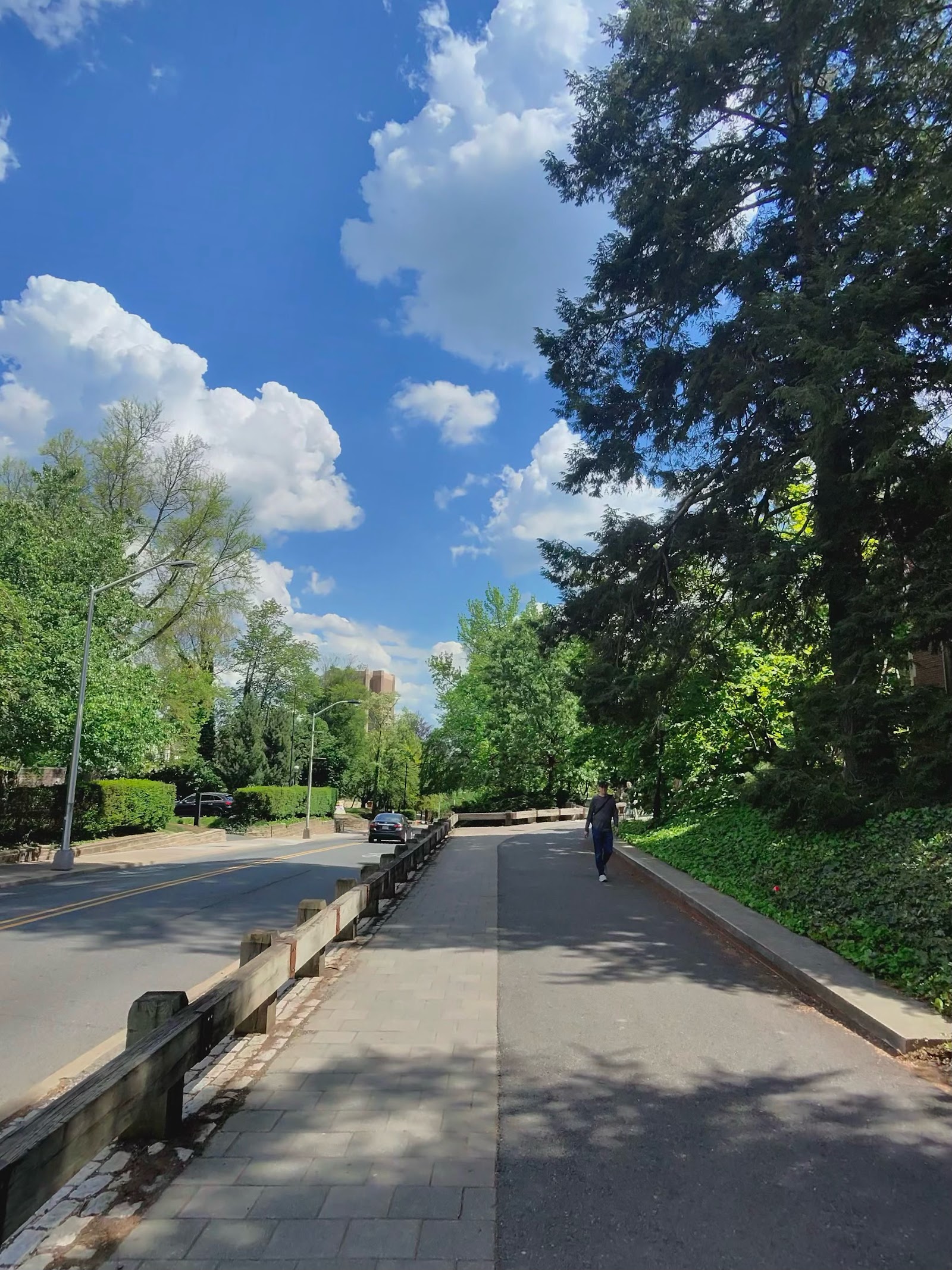 A tree-lined walking path stretching into the distance under blue sky.